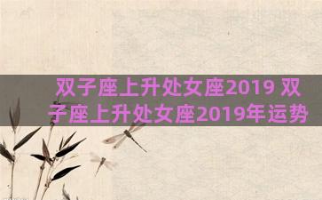 双子座上升处女座2019 双子座上升处女座2019年运势
